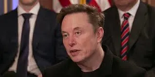 Elon Musk Doge Team Interview1 Elon Musk Doge Team Interview