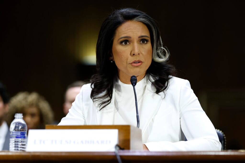 Why Tulsi Gabbard's Political Path Is One to Watch in 2025 Why Tulsi Gabbard's Political Path Is One to Watch in 2025