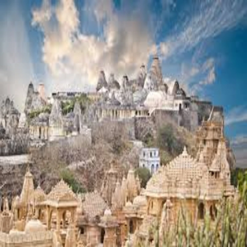 Palitana: A Delicious Band Meat to Savor Palitana: A Delicious Band Meat to Savor