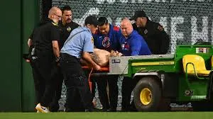 Pirates fan falls